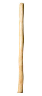 Medium Size Natural Finish Didgeridoo (TW1592)